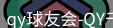 qy球友会